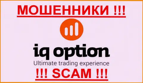 Ай Кью Опцион - ШУЛЕРА !!! SCAM !!!