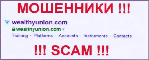 Виалси Юнион - это МОШЕННИКИ !!! SCAM !